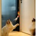 Elastik Kendinden Yapışkanlı Solucan Kedi Oltası