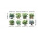 Saksılı Çiçek Tasarımlı 8li Sticker MC-480A
