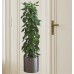 Saksılı Bitki Tasarımlı Yapışkanlı Sticker Resim 90*30 cm MC-665