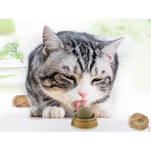 Kedi Nanesi Cat Mint Oyun Topu 