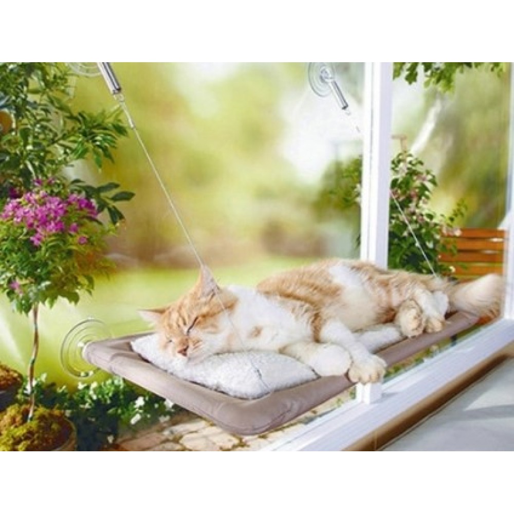 Sunny Seat Cama Yapışan Kedi Yatağı Sunny Seat Cama Yapışan Kedi Yatağı