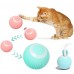 Otomatik Yuvarlanan Kedi Oyun Topu